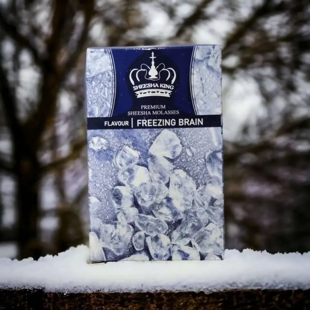Sheesha King Freezing Brain Hookah Flavour 50g